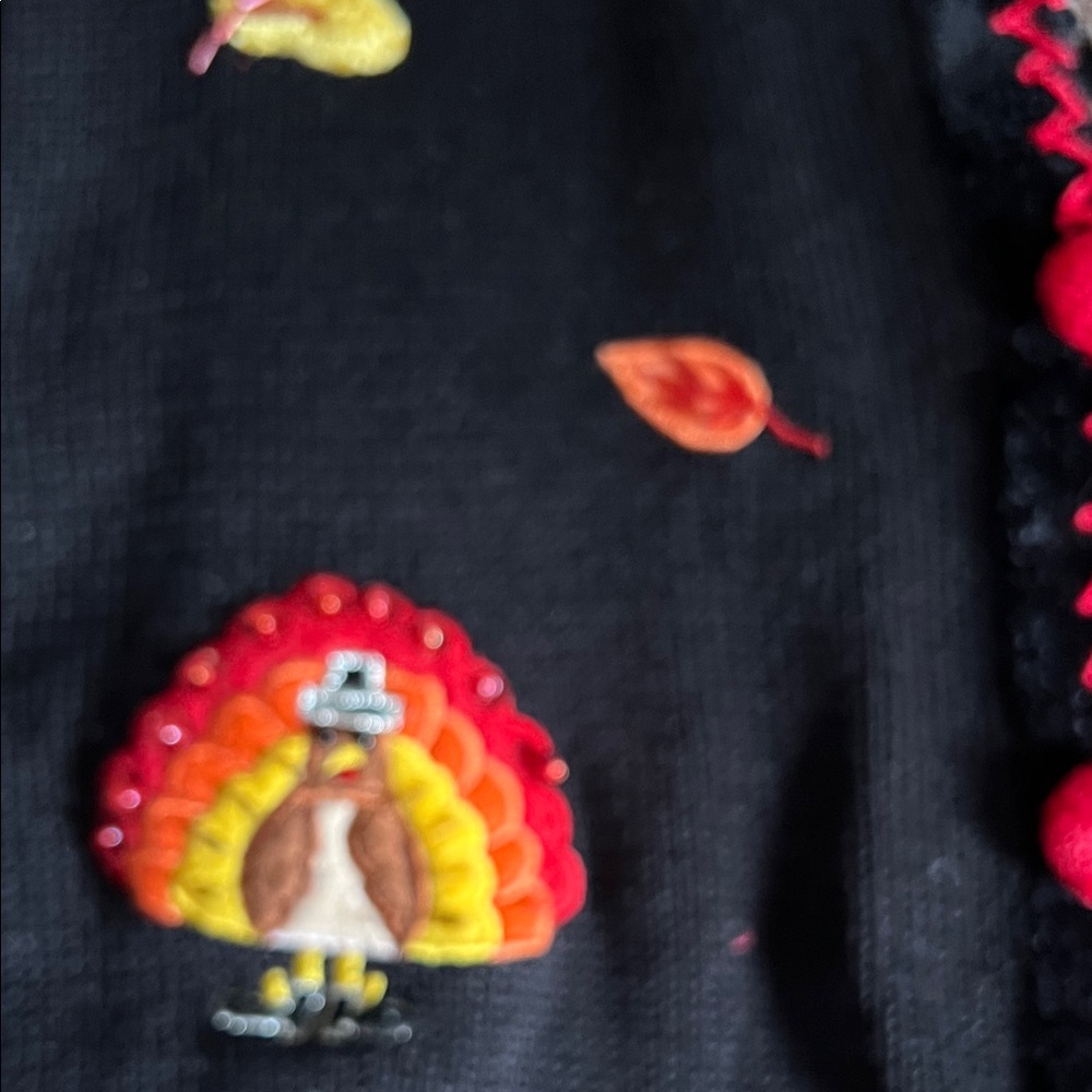 Black Cardigan with Thanksgiving Embroidery - Picture 5 of 10